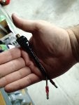 IMG_20160817_184456541.jpg